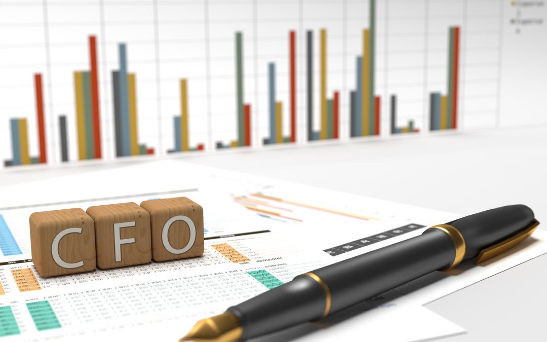 What Can A Virtual CFO Do For You?